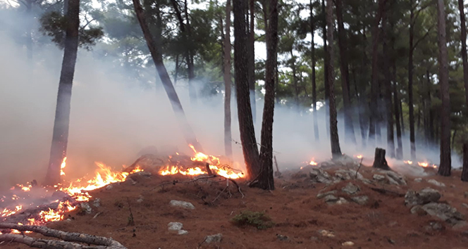 Manavgat’ta düşen yıldırım yangına yol açtı