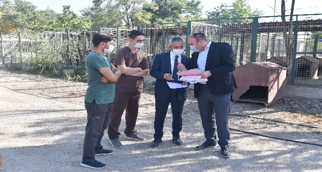 Başkent’te barınaklarda iyileştirme çalışmaları devam ediyor