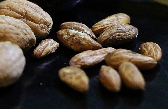 Türk bilim adamları bir sırrını daha çözdü! Hemen harekete geçtiler…