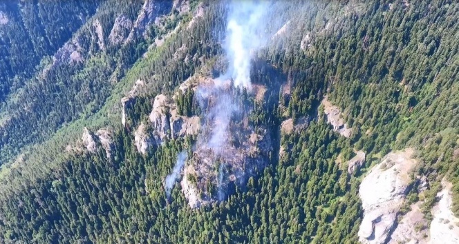 Artvin’deki orman yangını 3 gündür devam ediyor