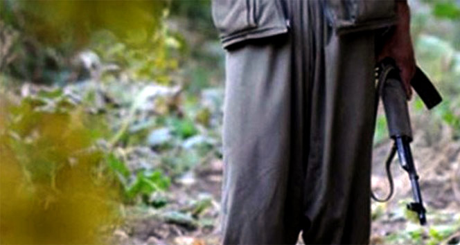 Tel Abyad’da 5 terörist sağ ele geçirildi