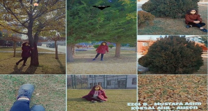 Öğrencilere ekolojik okuryazarlık eğitimi