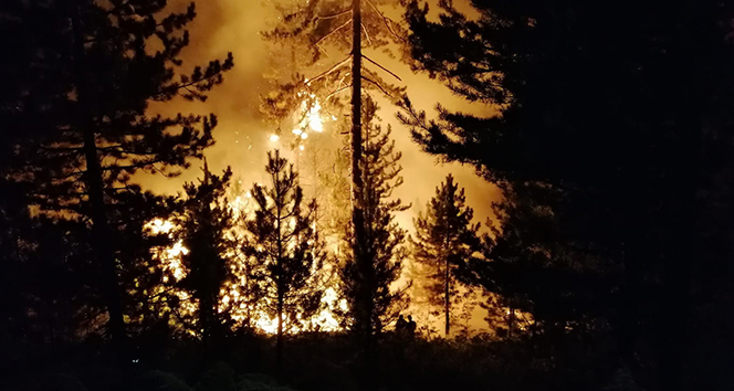 Bolu’da orman yangını: Çok sayıda ekip müdahale ediyor