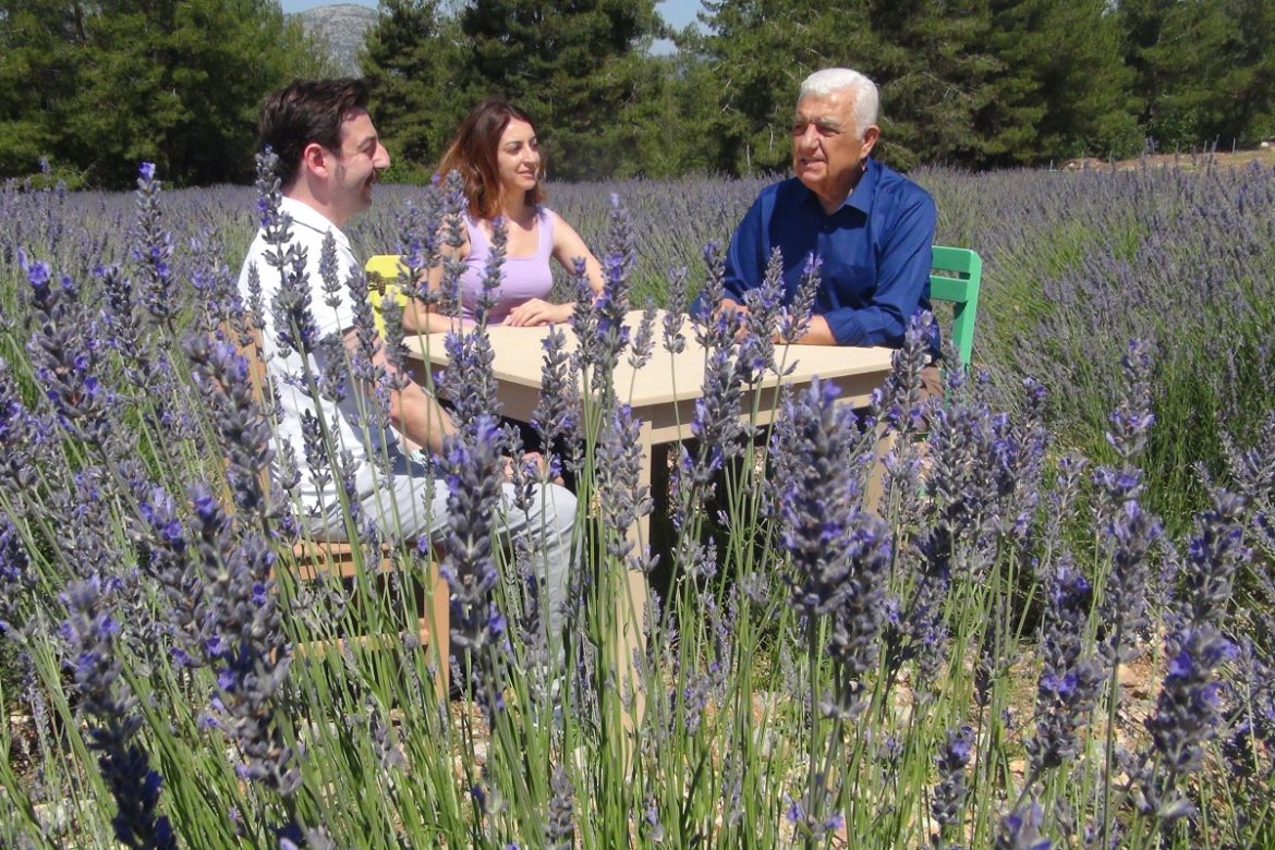 Muğla’da Lavanta sezonu açıldı
