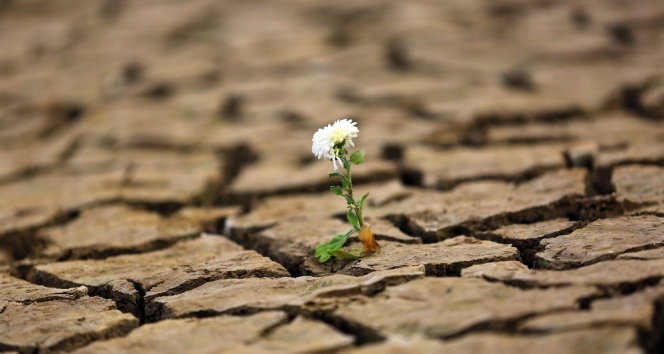 Kuraklığa karşı kampanya