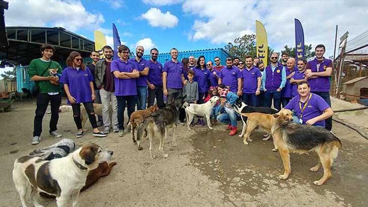 4 Ekim Dünya Hayvanları Koruma Günü için hazırlıklar başladı: Getir, binlerce hayvanı doyuracak