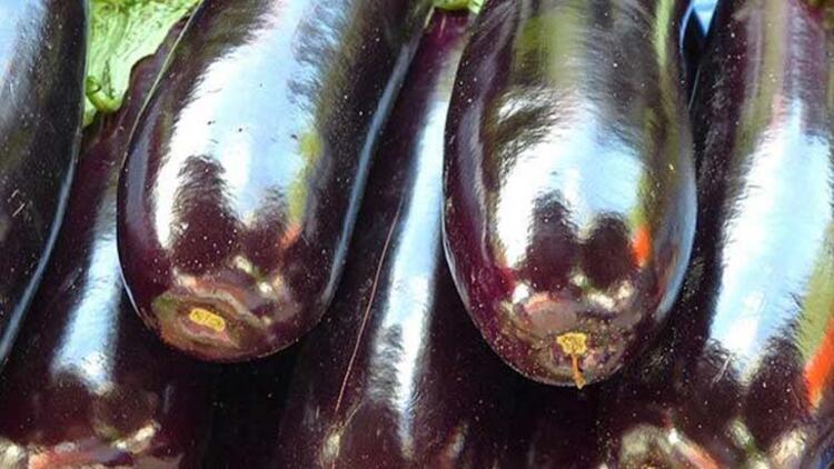 Deri hastalıklarına ‘patlıcanlı’ çözüm